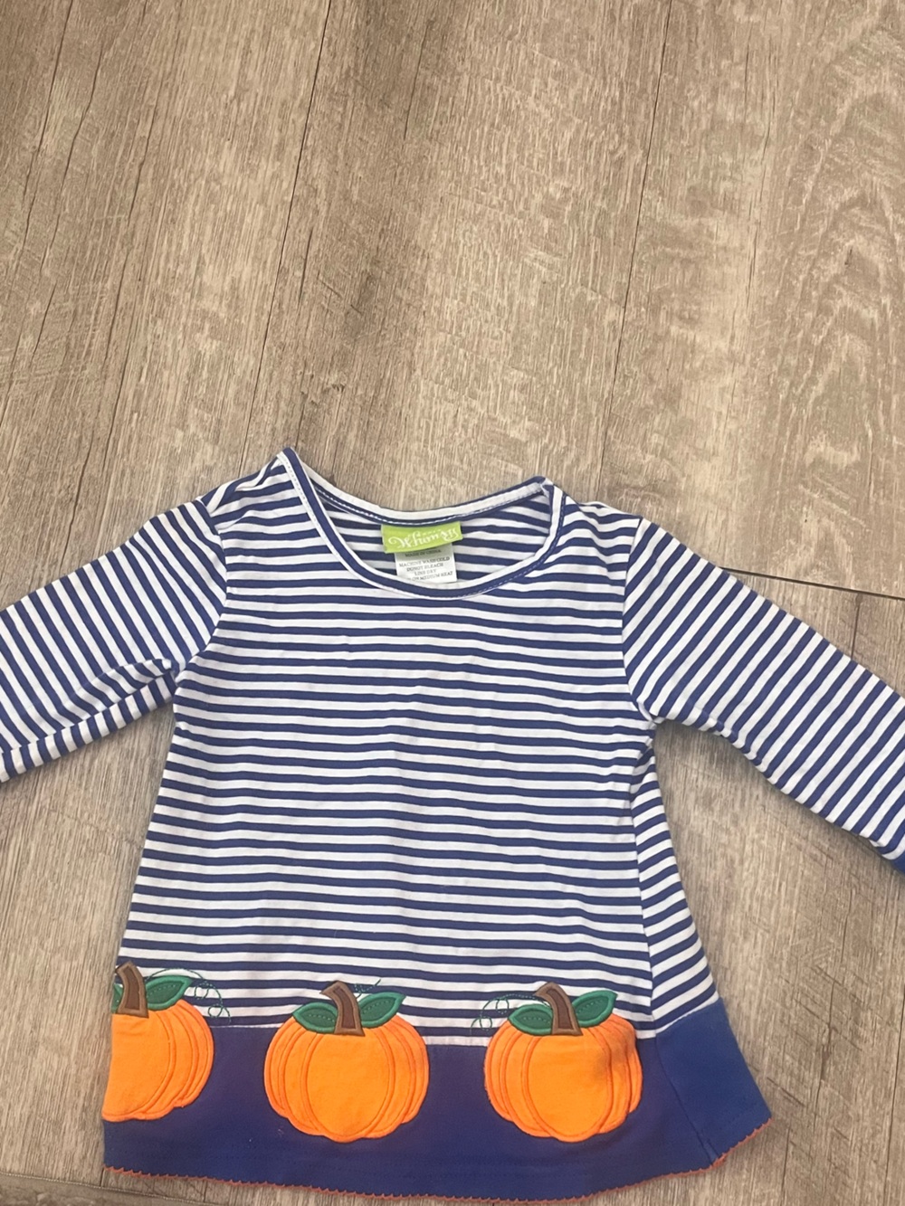 Blue Stripe Pumpkin Hem Kids Top by Gymboree